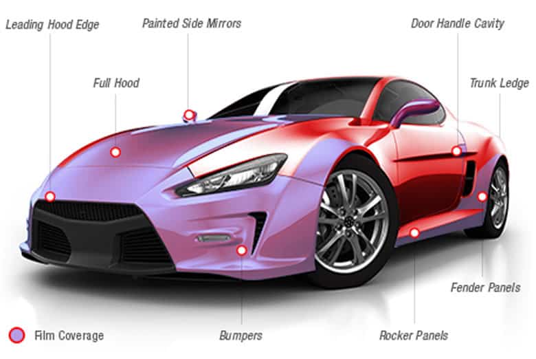 scotchgard paint protection cost